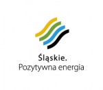 Dotacja Województwa Śląskiego 2013